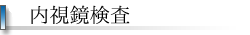 胃カメラ